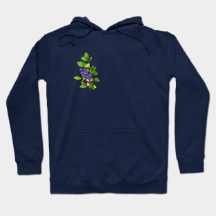 Blueberries Hoodie